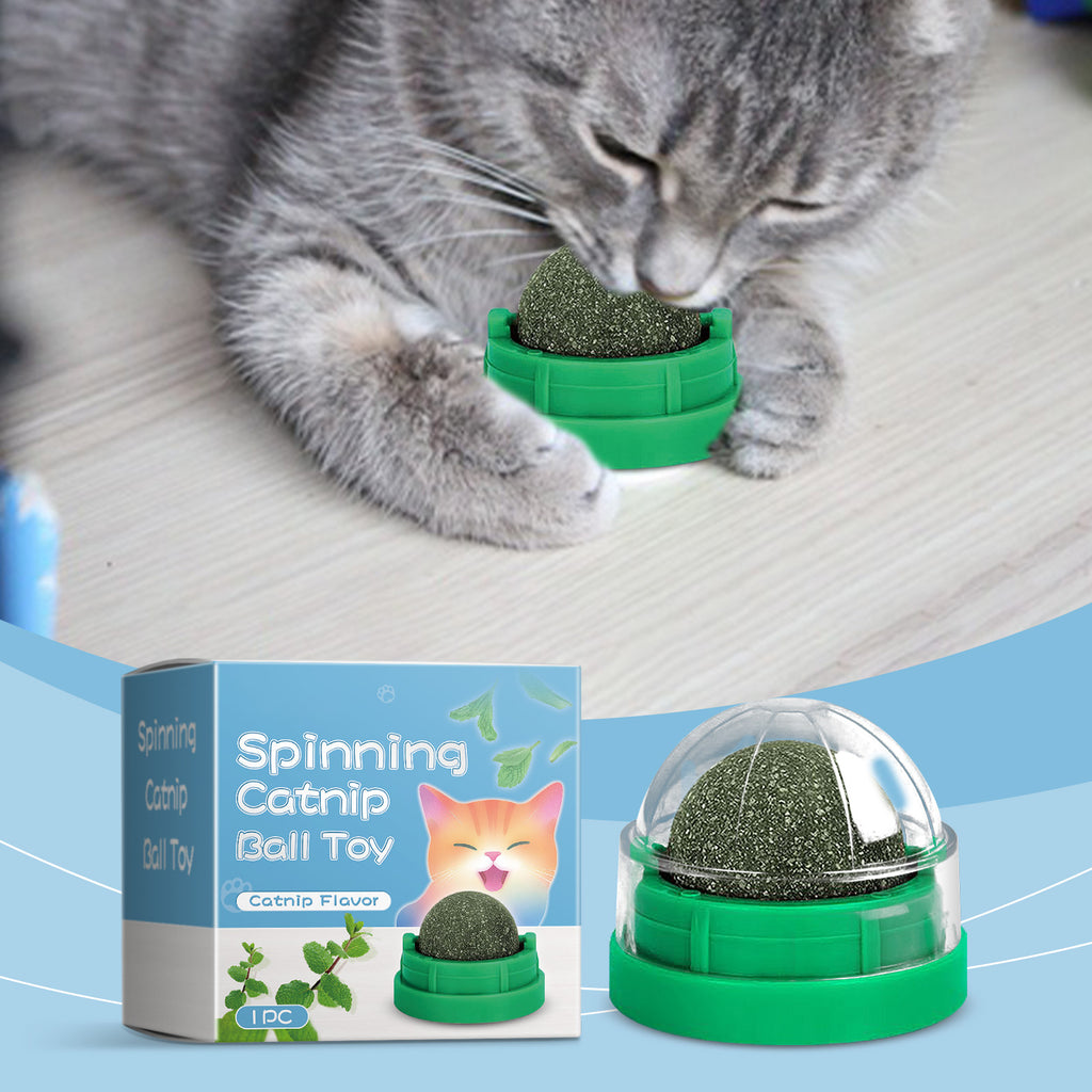 Catnip Mint Ball Toy for Cats
