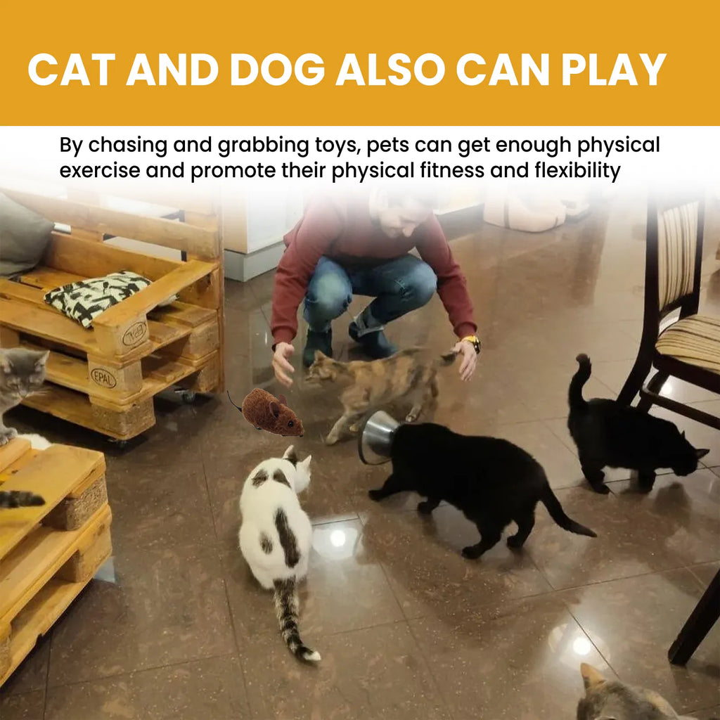 Interactive Squeaky Mouse Toy for Cats