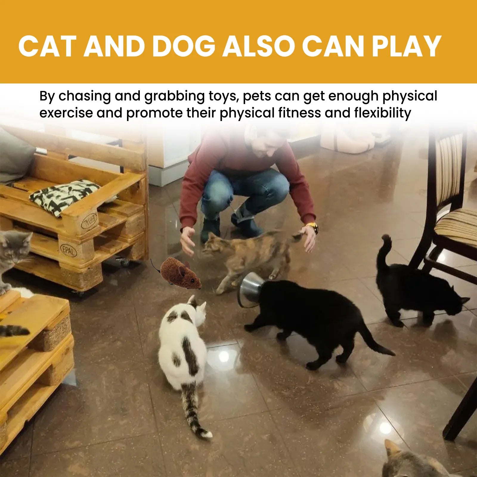 Interactive Squeaky Mouse Toy for Cats