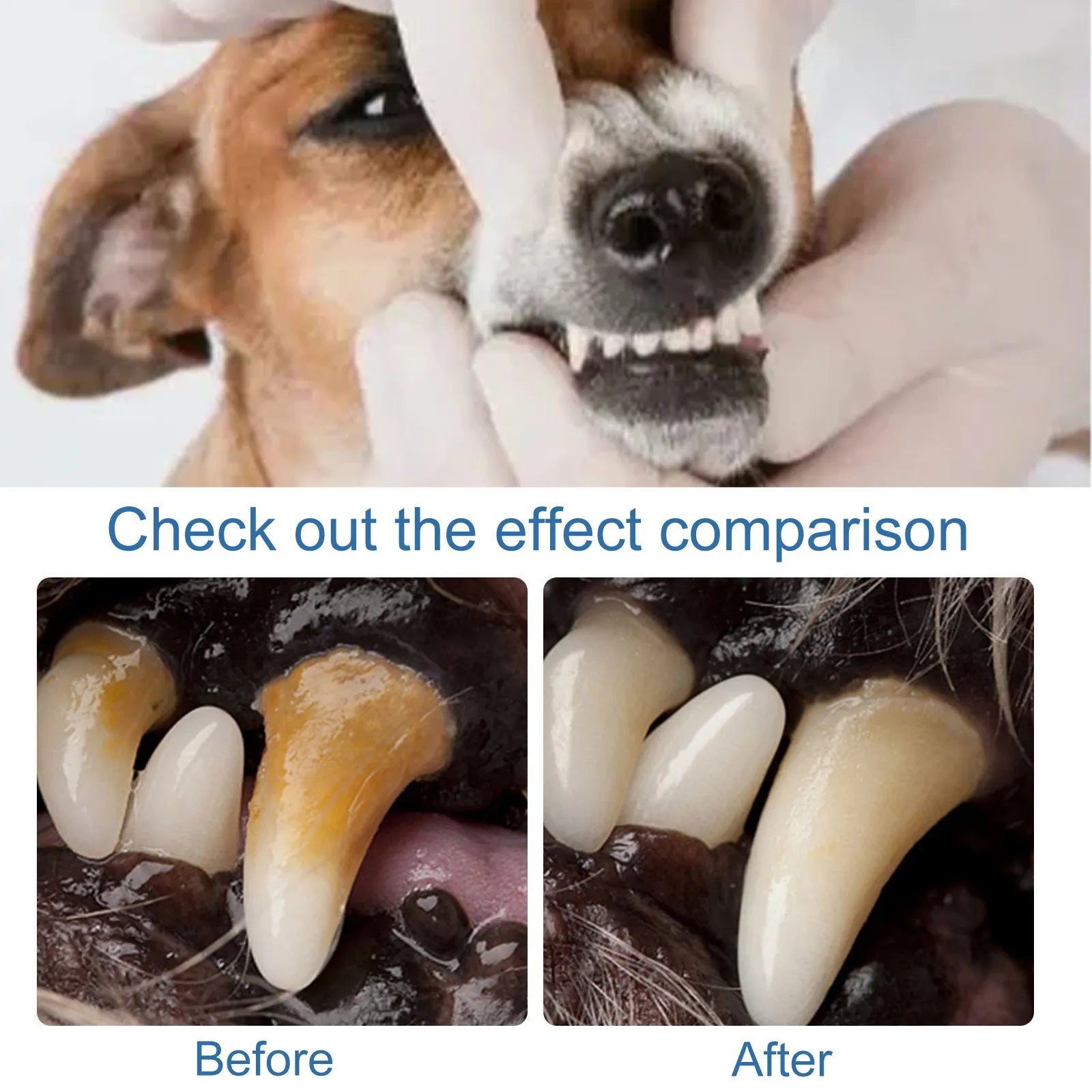 Dog & Cat Teeth Cleaning Foam for Tartar