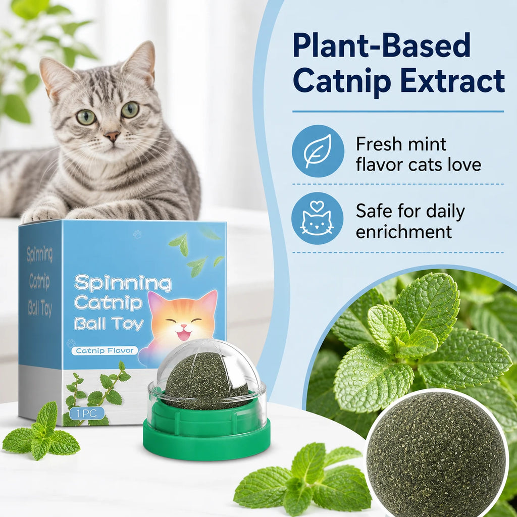 Catnip Mint Ball Toy for Cats | Interactive Cat Enrichment & Play Ball | Pet Mico