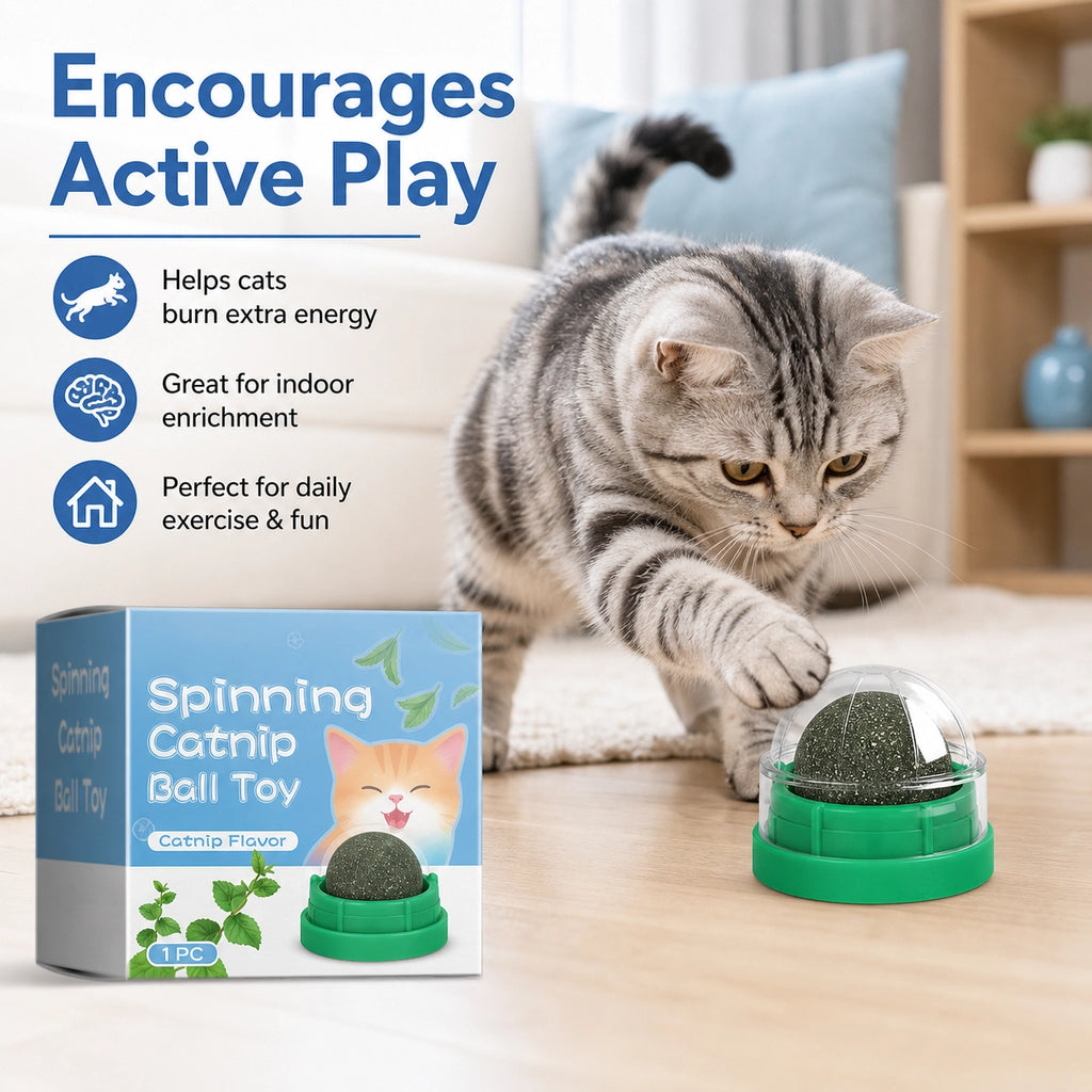 Catnip Mint Ball Toy for Cats | Interactive Cat Enrichment & Play Ball | Pet Mico