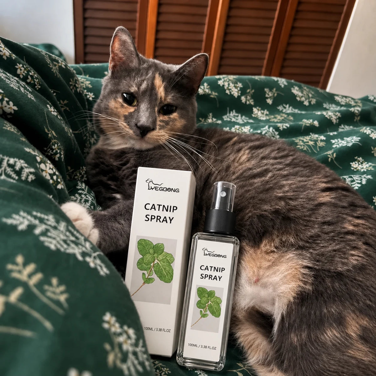 YEGBONG catnip spray with cat