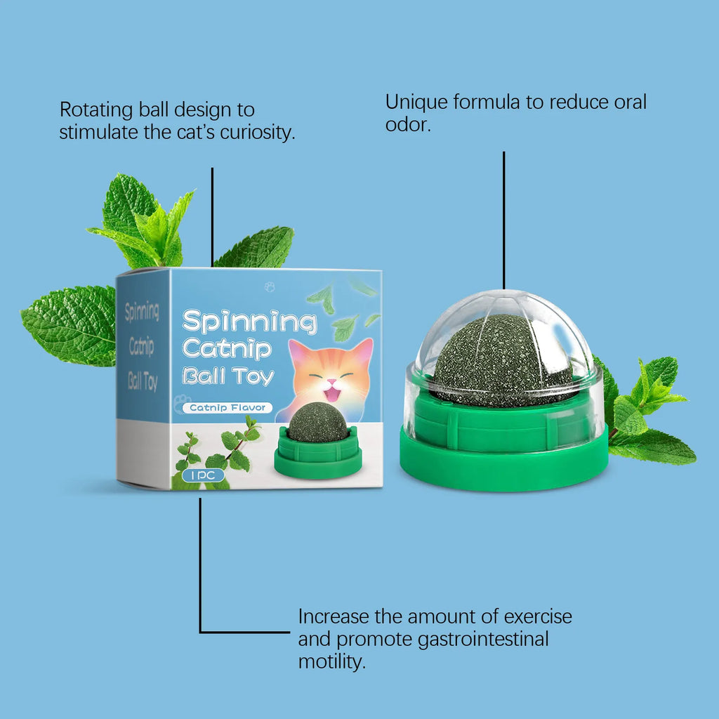 Catnip Mint Ball Toy for Cats