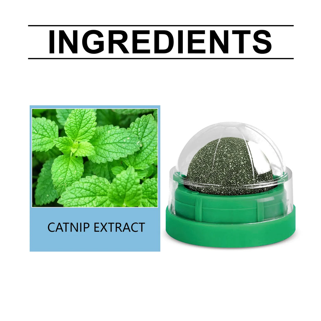 Catnip Mint Ball Toy for Cats