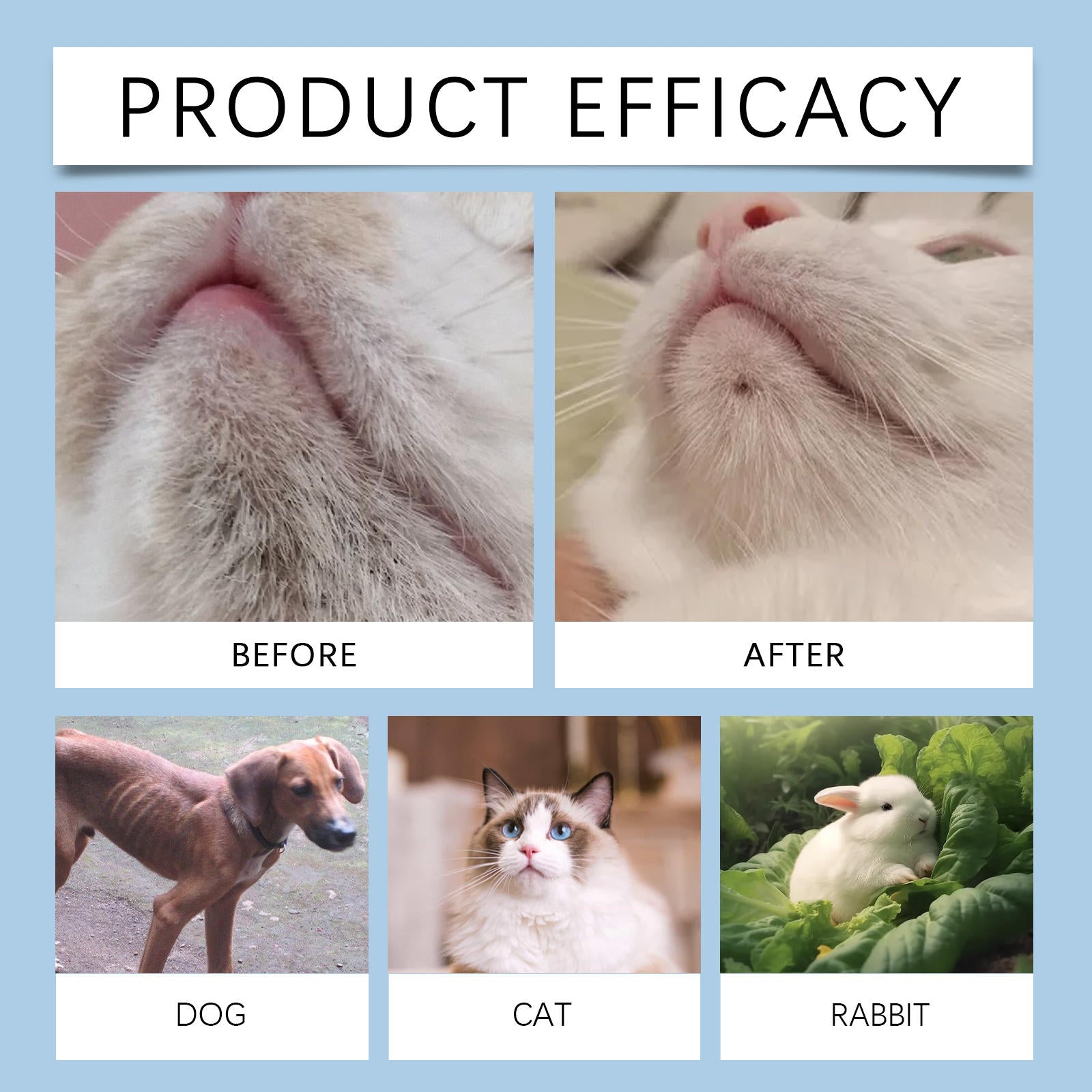 Cat Chin Acne Cleaning Kit for Blackheads