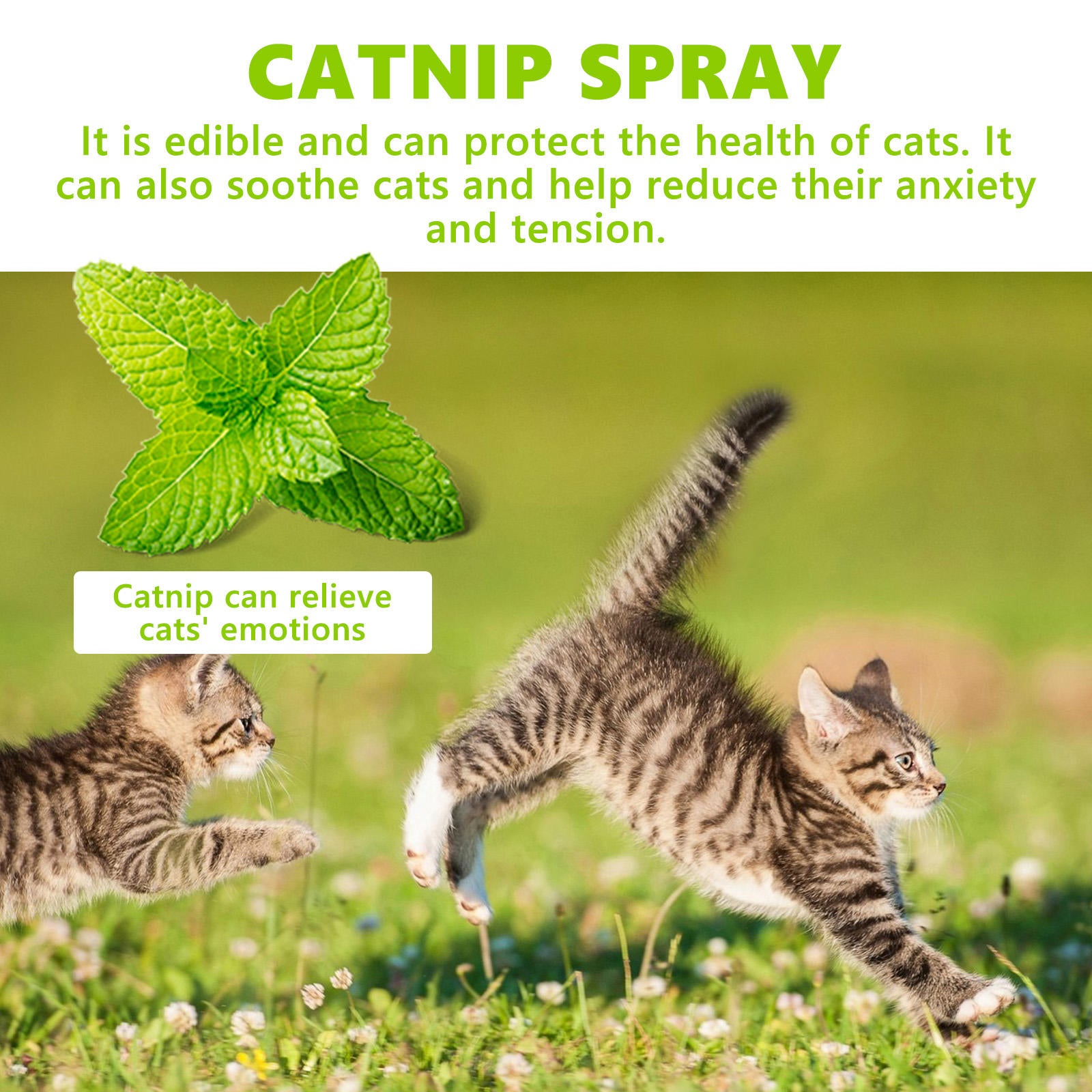 Catnip Spray for Cats, Calming Toy Attractant