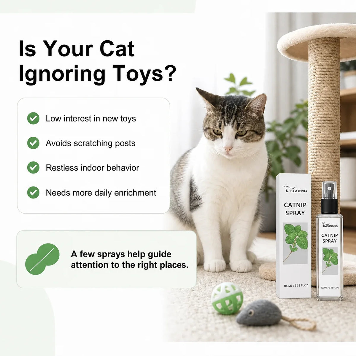 Catnip spray for encouraging interest in toys and scratching posts