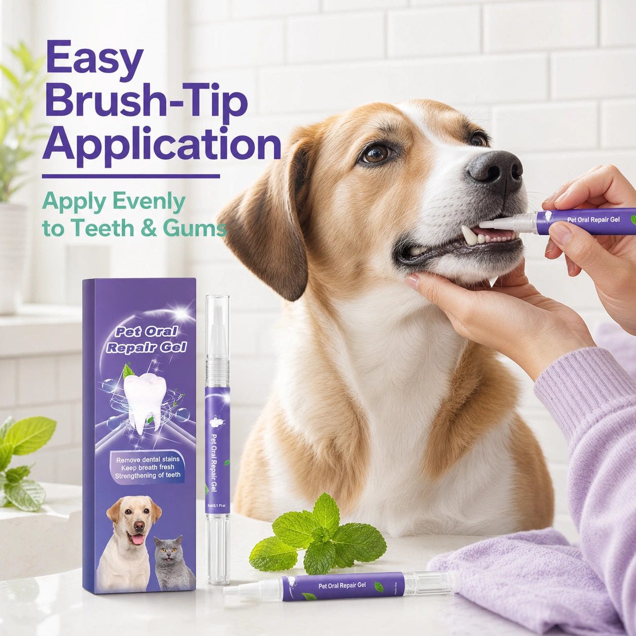 Pet dental gel for dogs and cats usage image