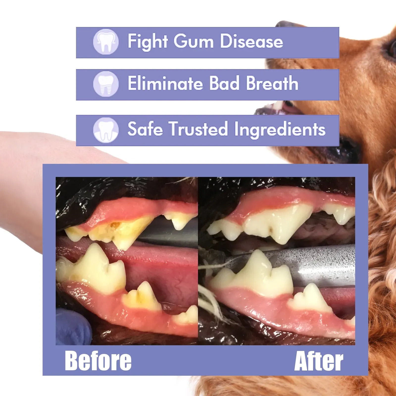 Dog & Cat Dental Spray for Fresh Breath