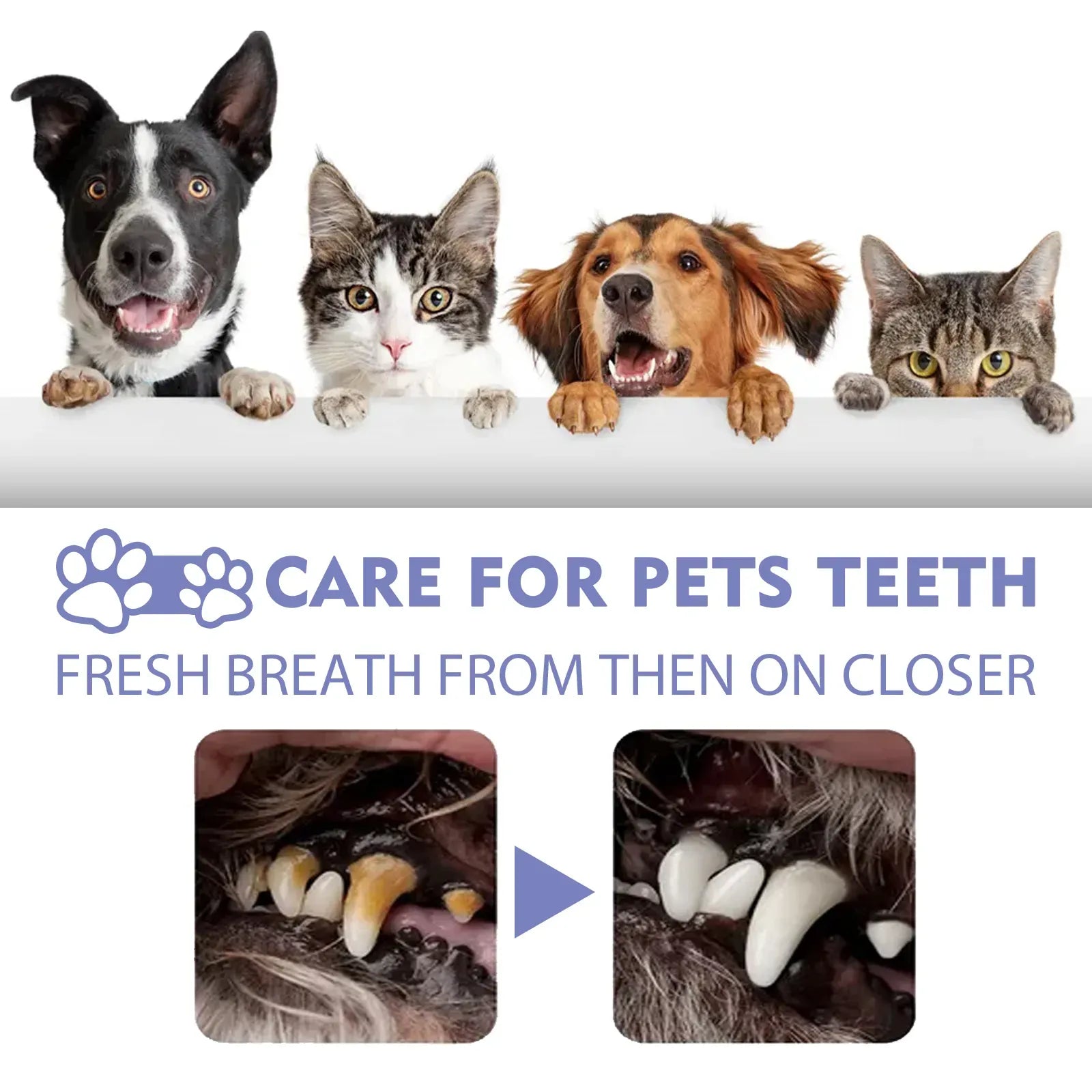 Dog & Cat Dental Spray for Fresh Breath