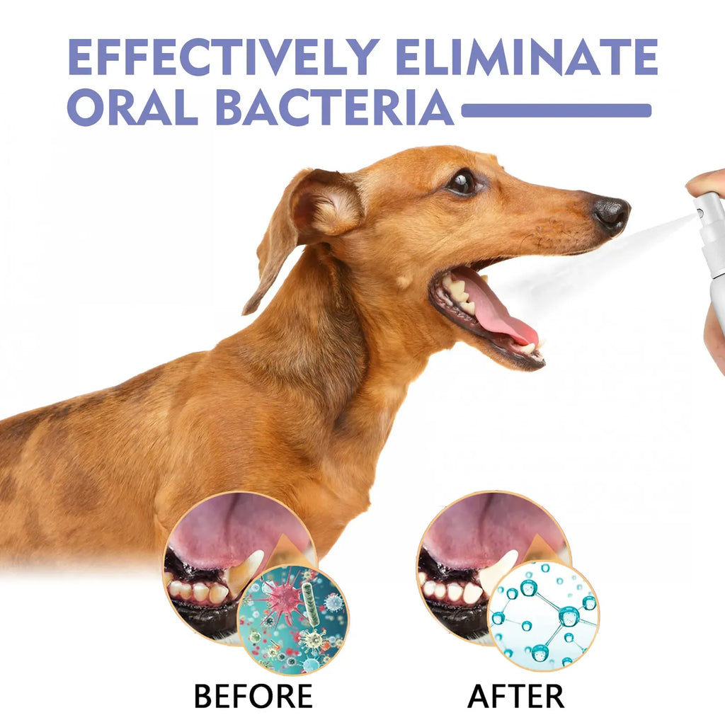 Dog & Cat Dental Spray for Fresh Breath