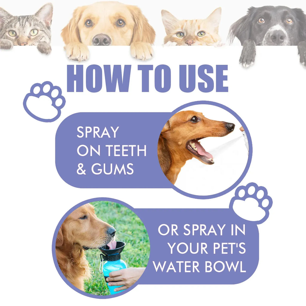 Dog & Cat Dental Spray for Fresh Breath