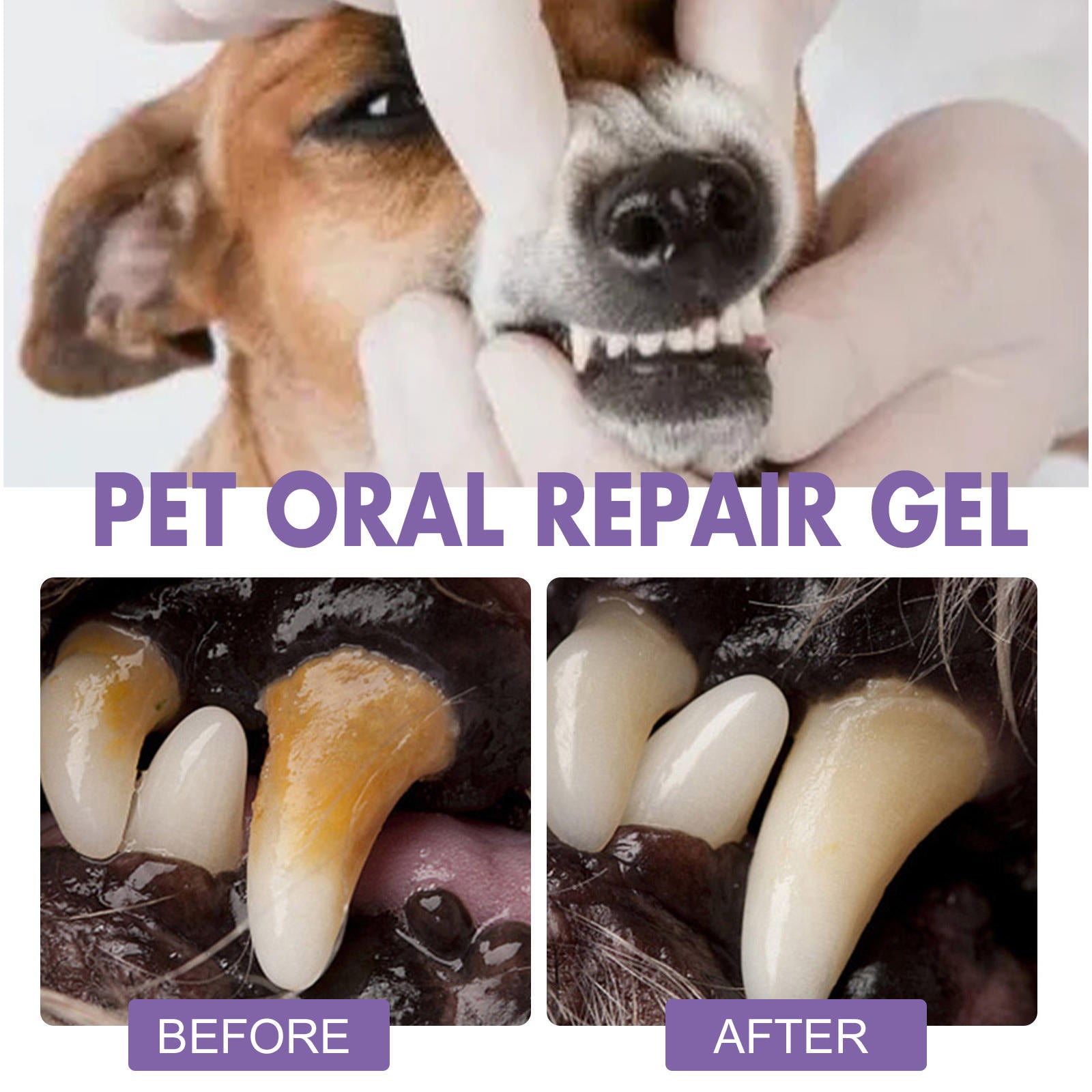 Pet Dental Gel for Dogs & Cats, 2-Pack