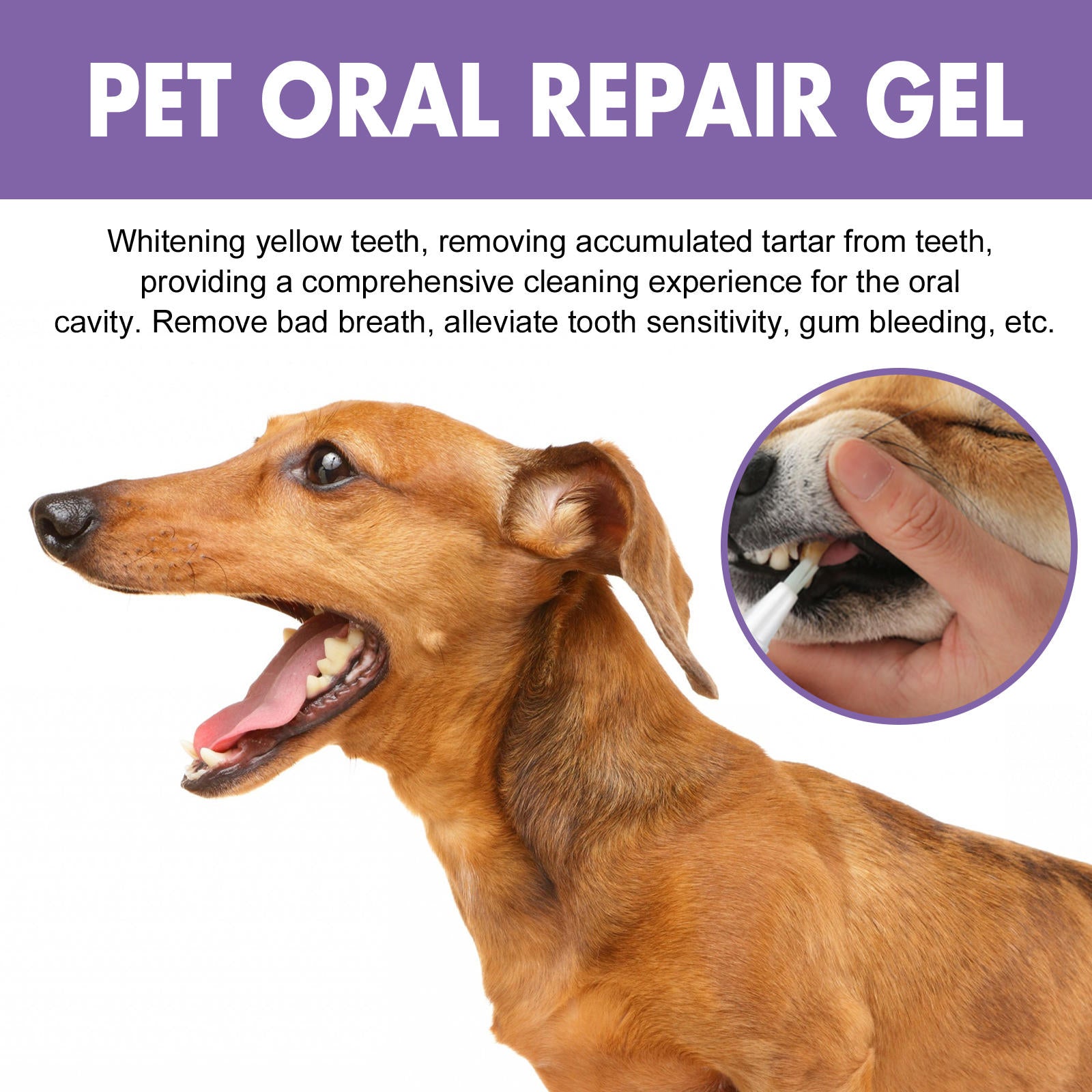 Pet Dental Gel for Dogs & Cats, 2-Pack