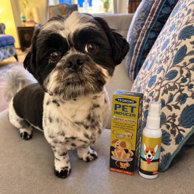 YEGBONG pet inducer with dog on sofa