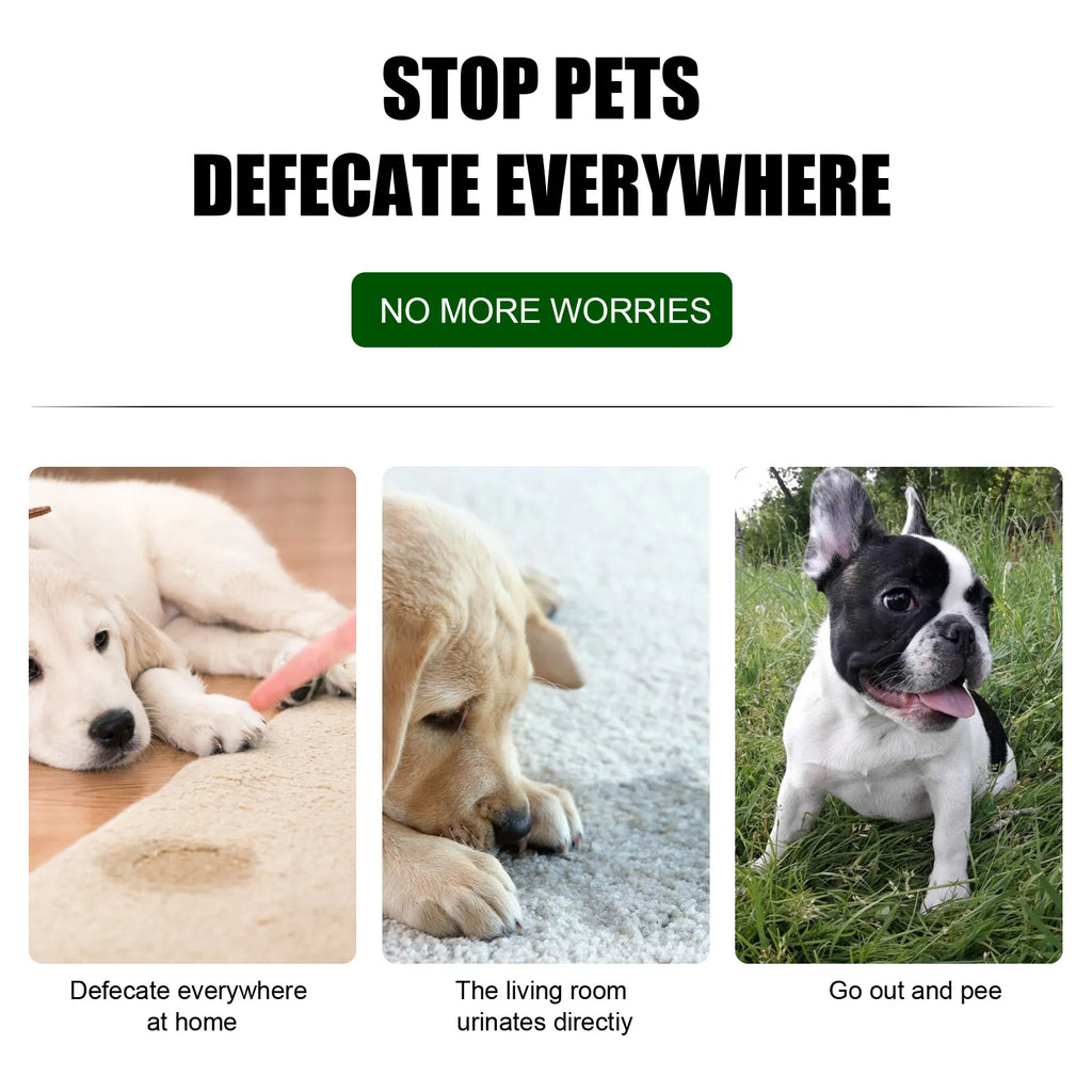 Dog Potty Training Spray for Puppies