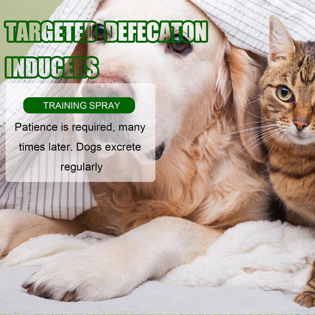 Dog Potty Training Spray for Puppies