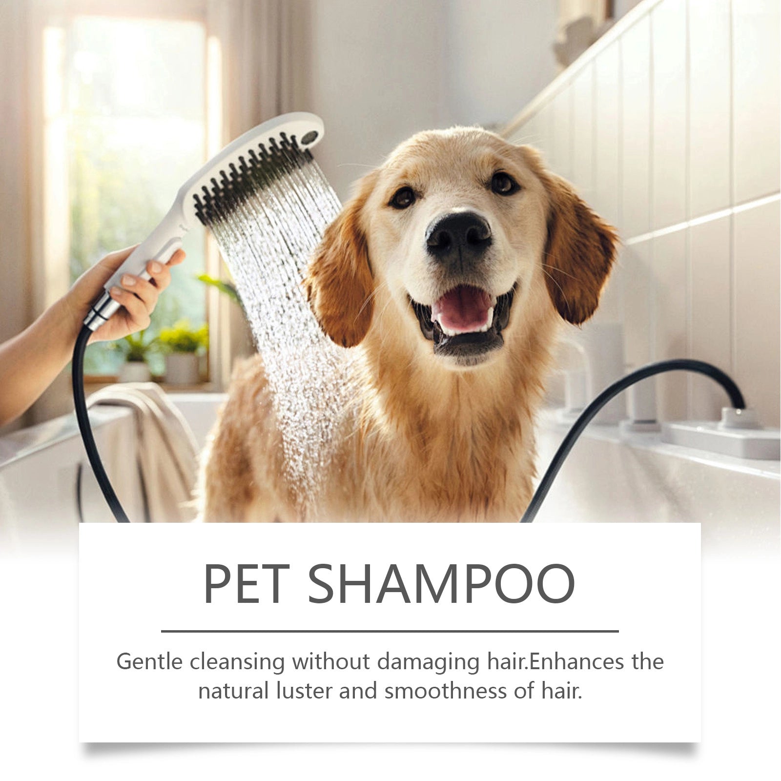 Dog & Cat Grooming Shampoo for Soft Fur