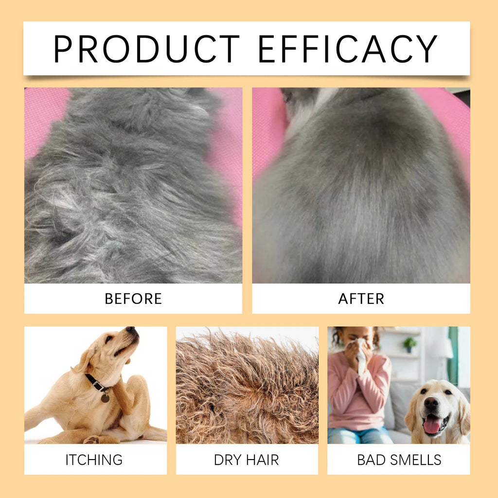 Dog & Cat Grooming Shampoo for Soft Fur