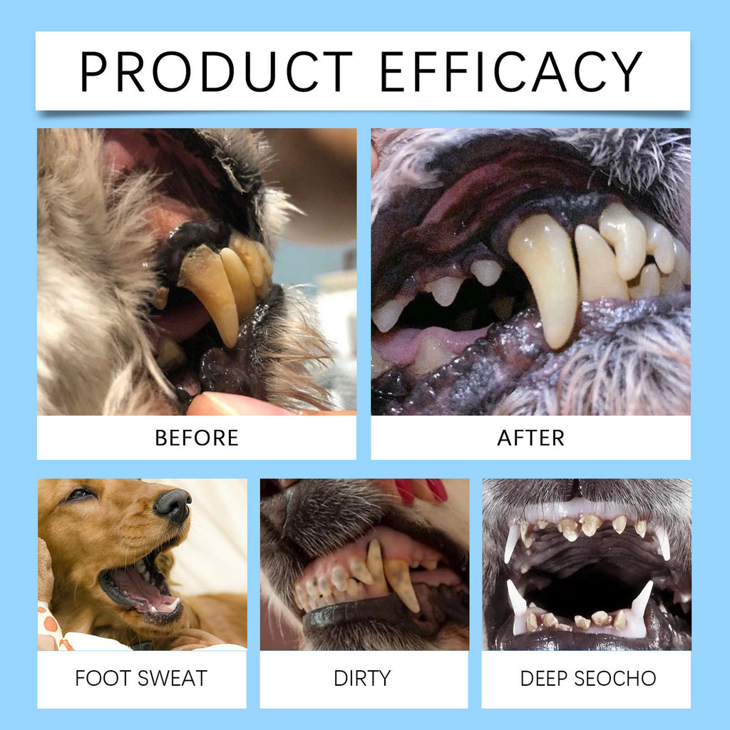 Dog & Cat Toothbrush Pen for Fresh Breath