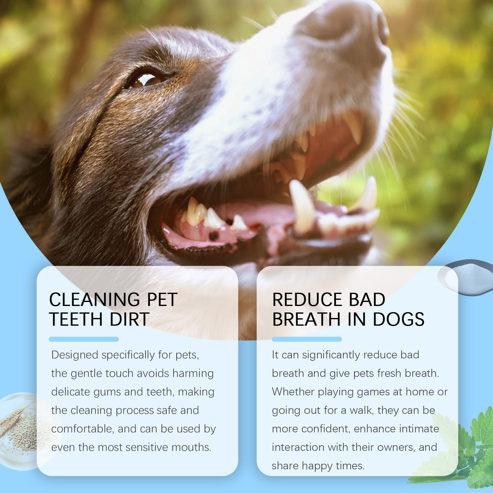 Dog & Cat Toothbrush Pen for Fresh Breath