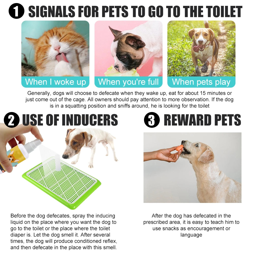 Dog & Cat Potty Training Spray