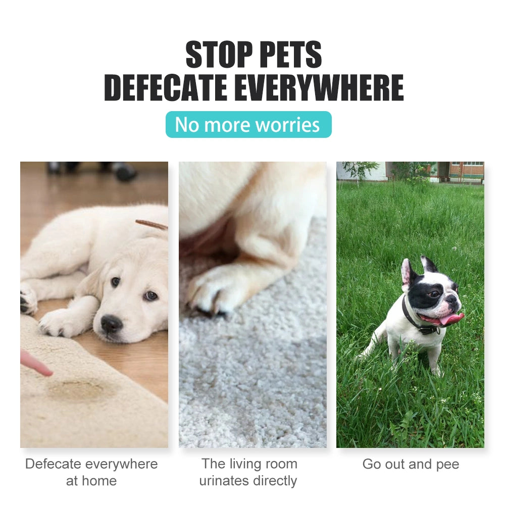 Dog & Cat Potty Training Spray