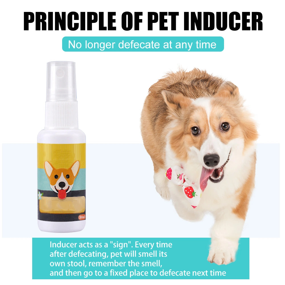 Dog & Cat Potty Training Spray