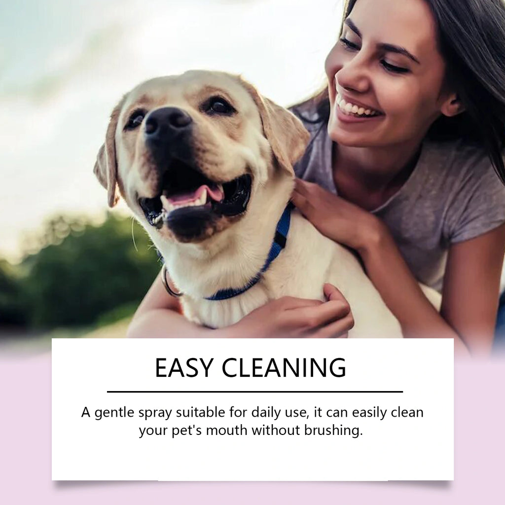 Pet Teeth Stain Remover Spray for Dogs & Cats