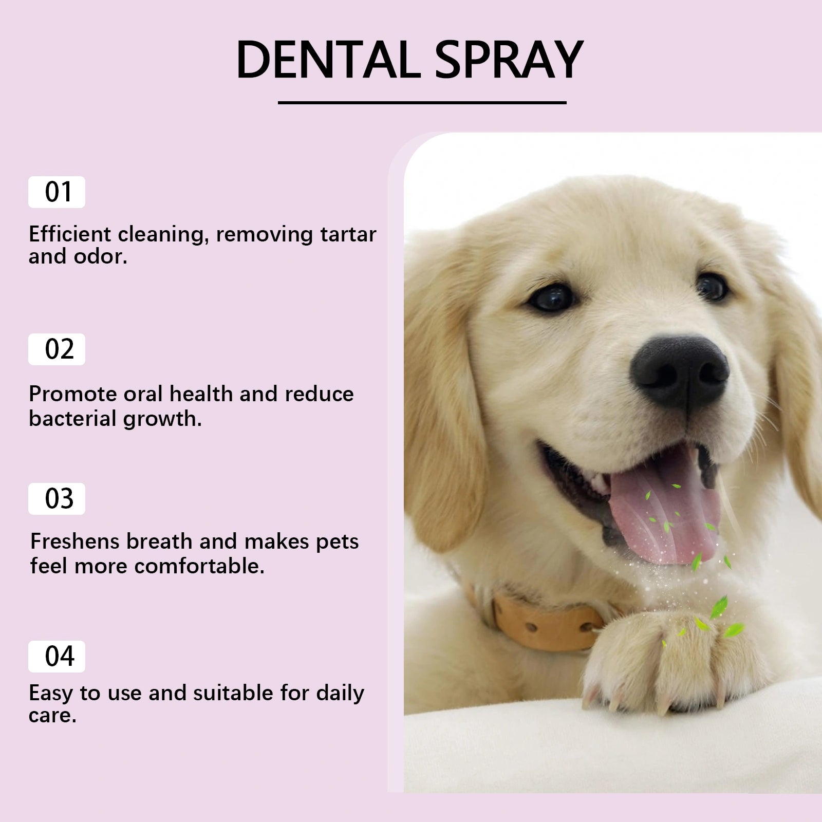 Pet Teeth Stain Remover Spray for Dogs & Cats