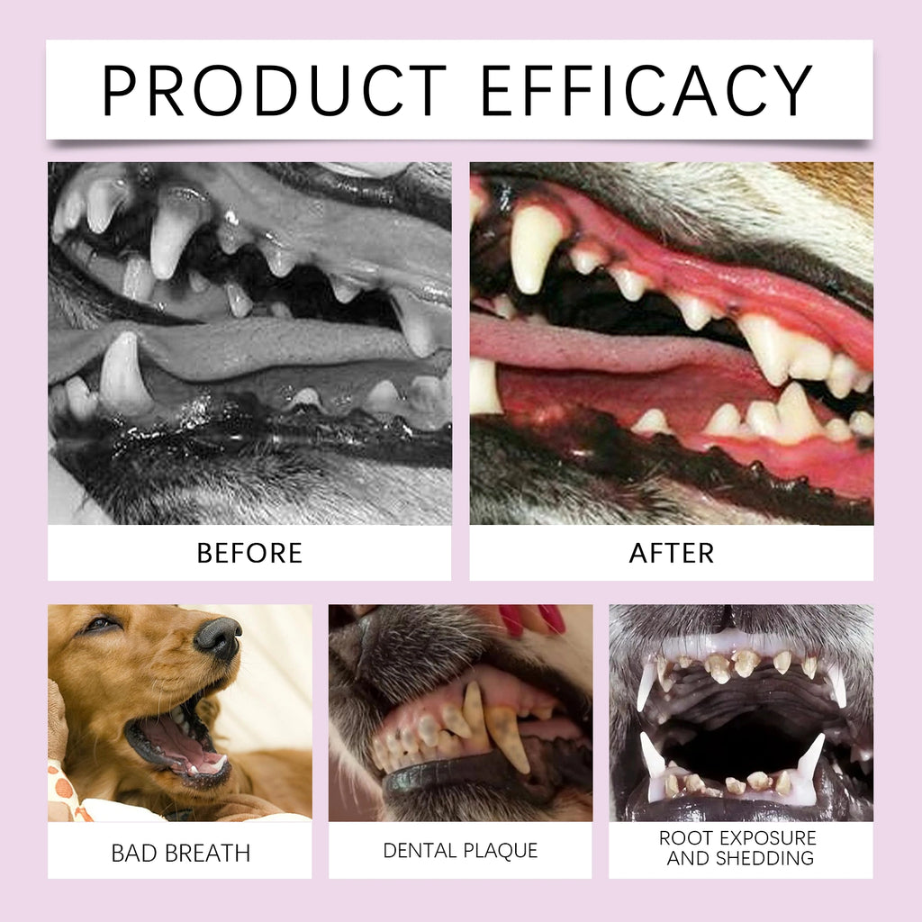 Pet Teeth Stain Remover Spray for Dogs & Cats
