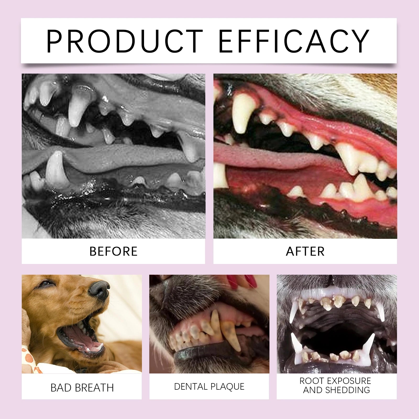 Pet Teeth Stain Remover Spray for Dogs & Cats
