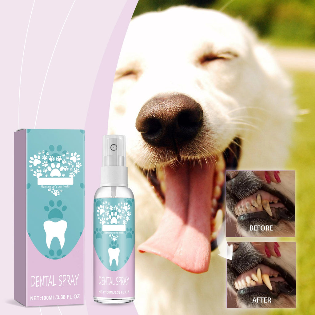 Pet Teeth Stain Remover Spray for Dogs & Cats